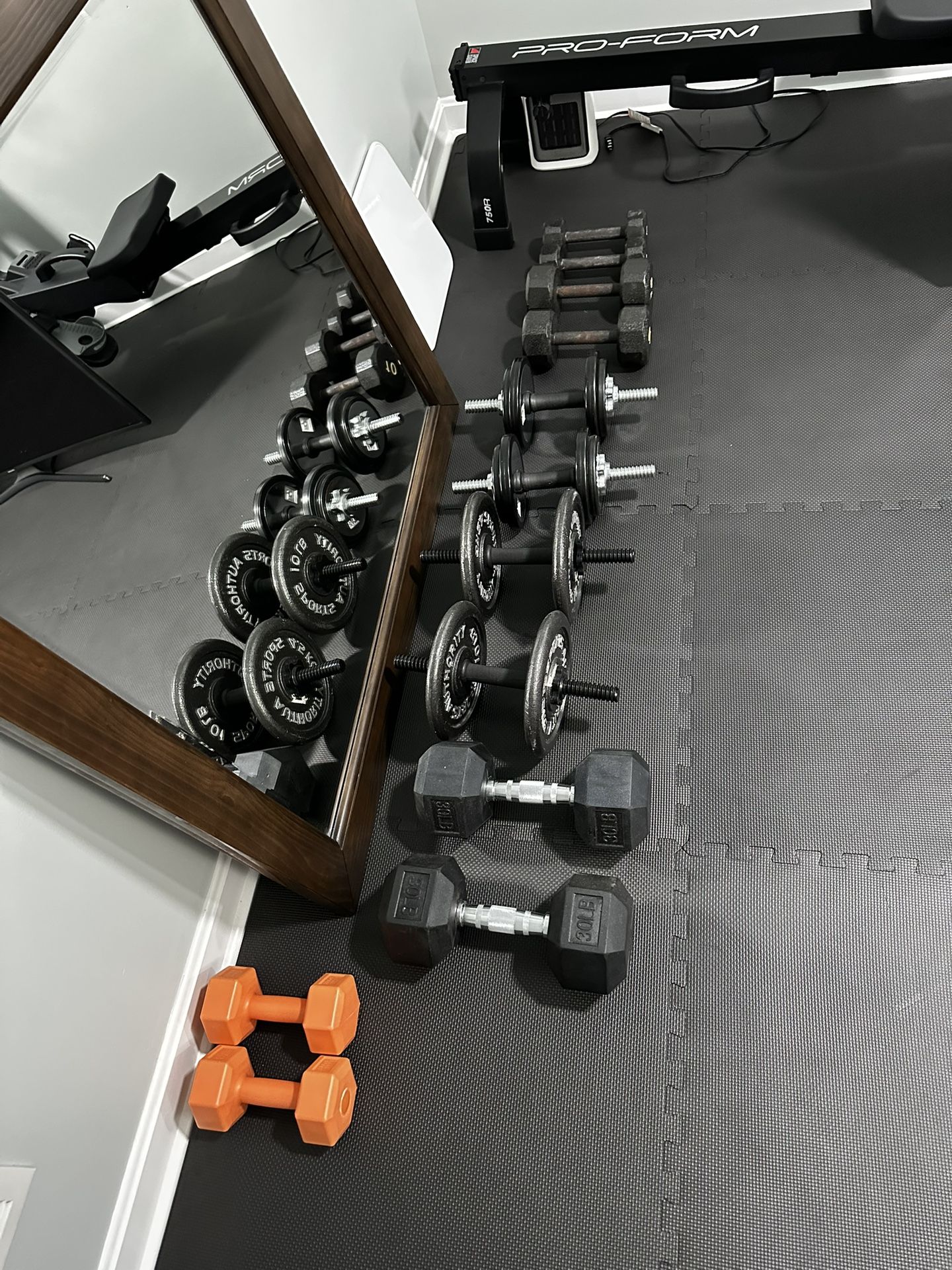 30 Lbs Dumbbells (new)