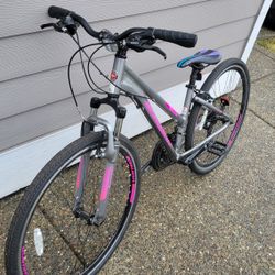 Adults Bike. SCHWIN 