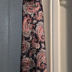 Pierre Cardin Navy/pasley tie