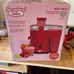 Mini Juicer