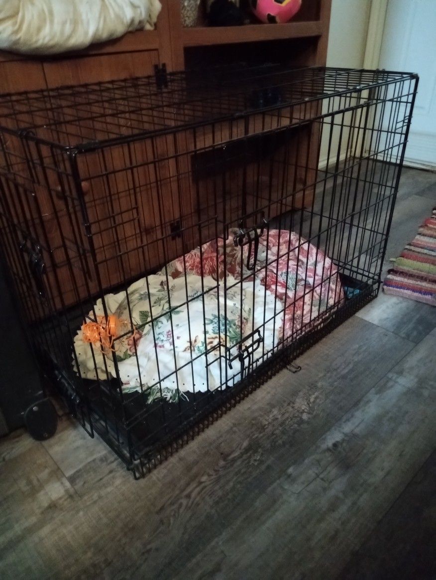 Medium Dog Kennels (2left) 50 obo for Sale in San Antonio, TX OfferUp