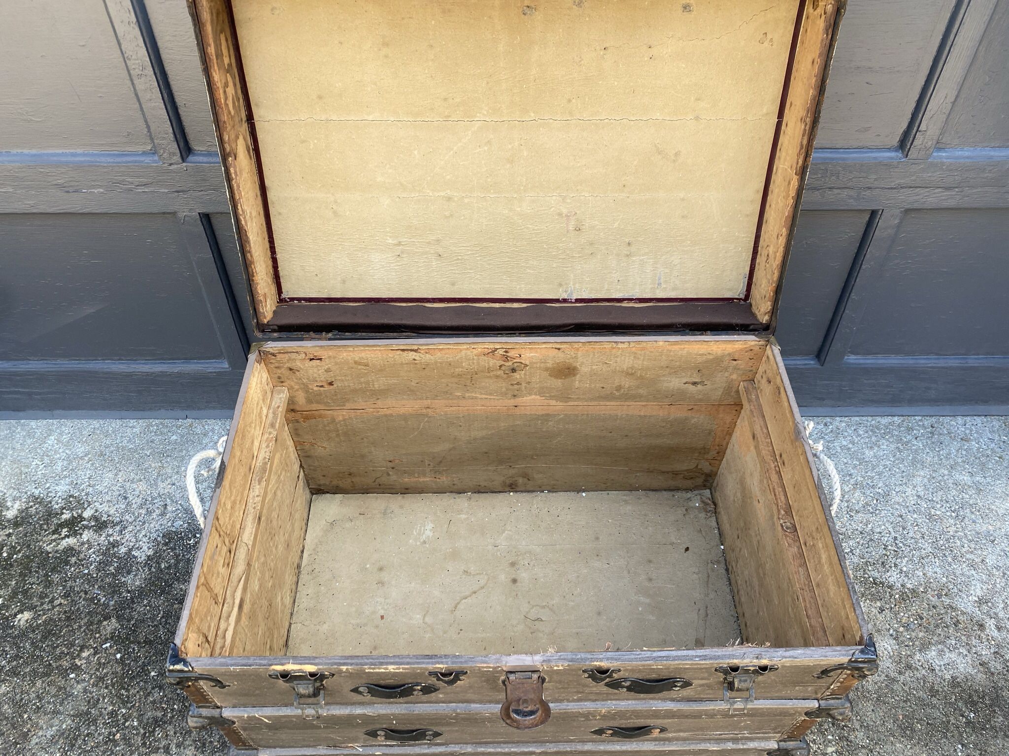 Gray painted trunk