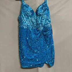 Sequin Dress 