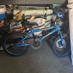 Bike for free! 