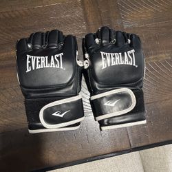 Mma Gloves