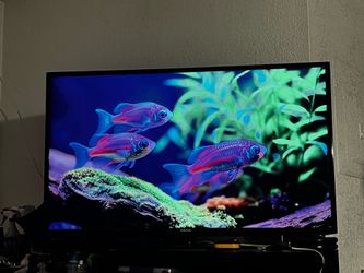 Samsung Smart TV