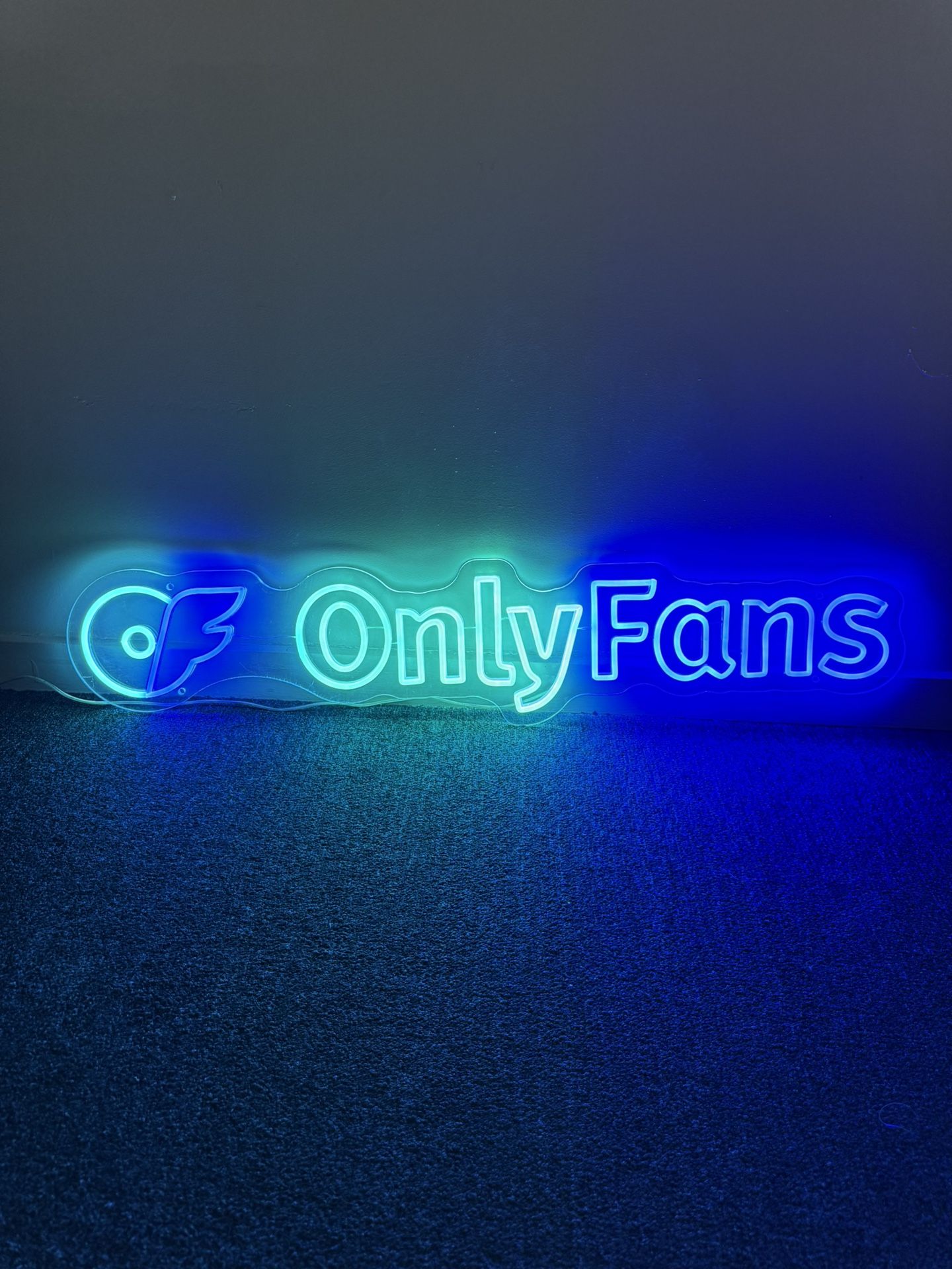 Only Fans LED Sign