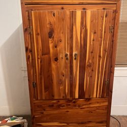 ✨Antique Murphy Wardrobe✨