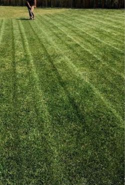 Cheap Gardner