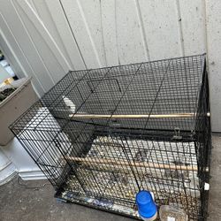 Cage /jaulas 