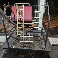 Large Bird Play Gym