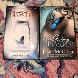 beautiful disaster books 