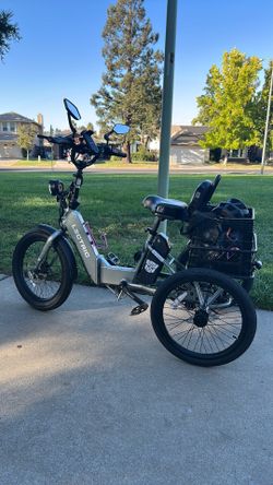 Lectric xp trike