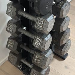 Dumbbell Set With Rack 