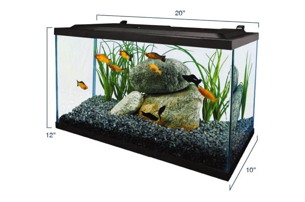 Fish Tank 10 Gallons