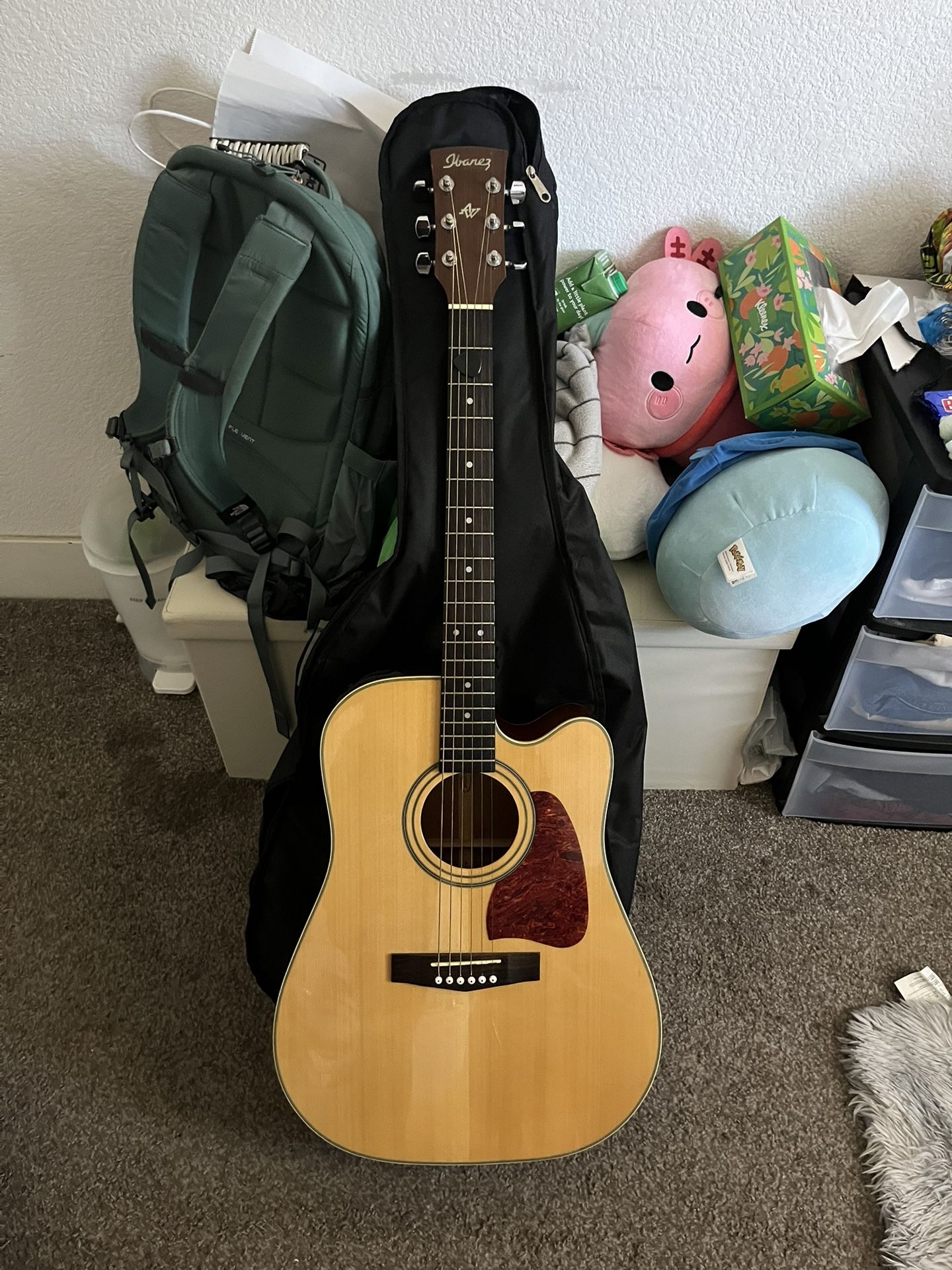 Ibanez Acoustic Electric Guitar