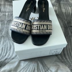 Christian Dior Dway Heeled Slide Deep Blue