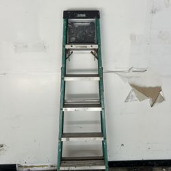6ft Ladder