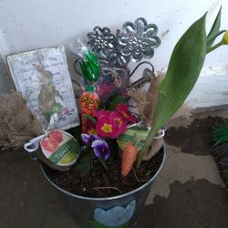 Potted Flowers/easter 