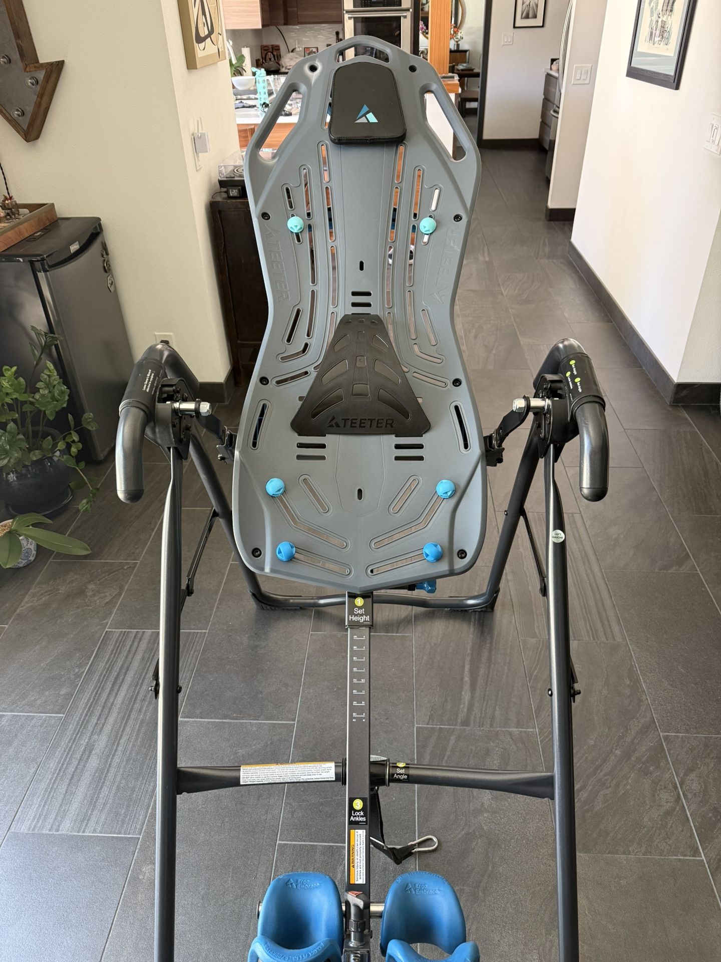 Teeter X1 Inversion Table