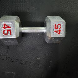 45lb Dumbell Single