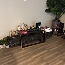 TV Stand With Vase Plant 