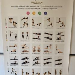 Poster FULL-BODY STRECHES for Women 19”x27”