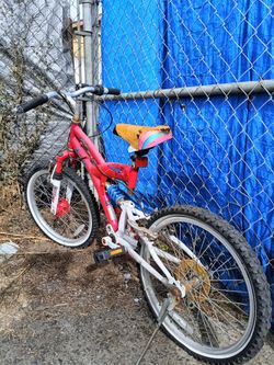 Bike With Microshift Gears