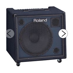 Roland Speaker 