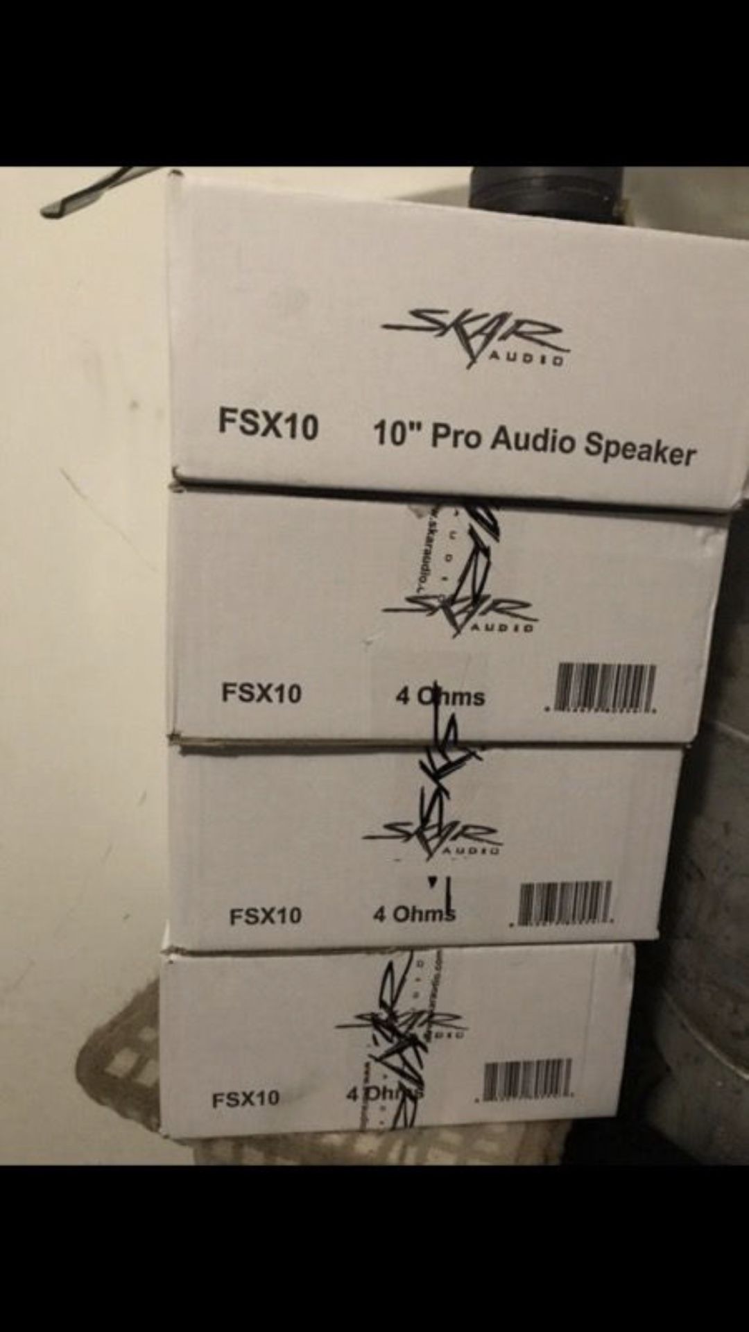 Skar 10" Pro audio speaker