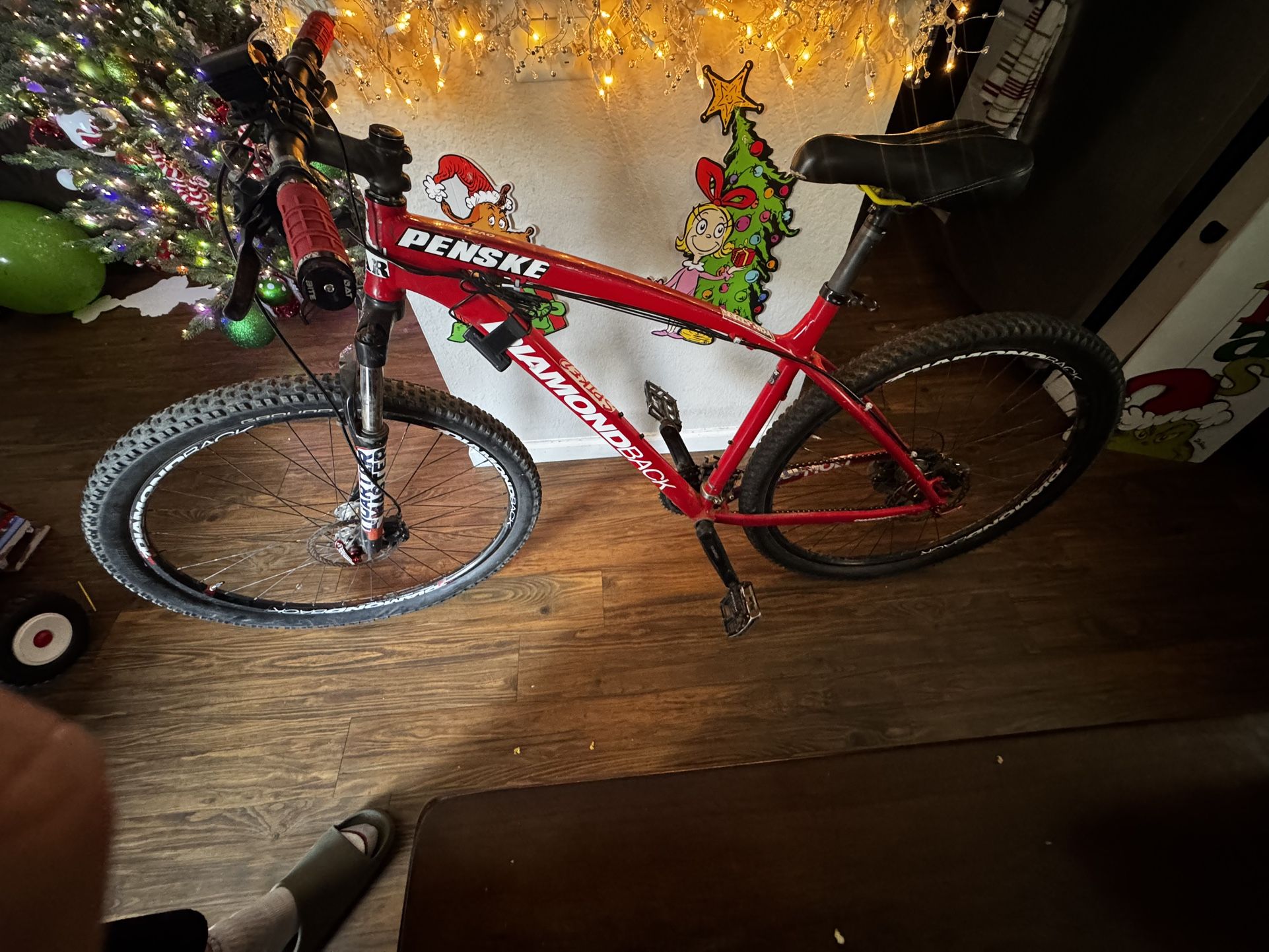 Diamond Back Mountain Bike