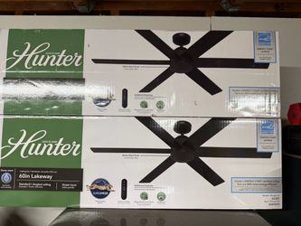 Ceiling fan