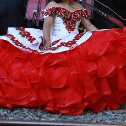 Quinceañera Dress 