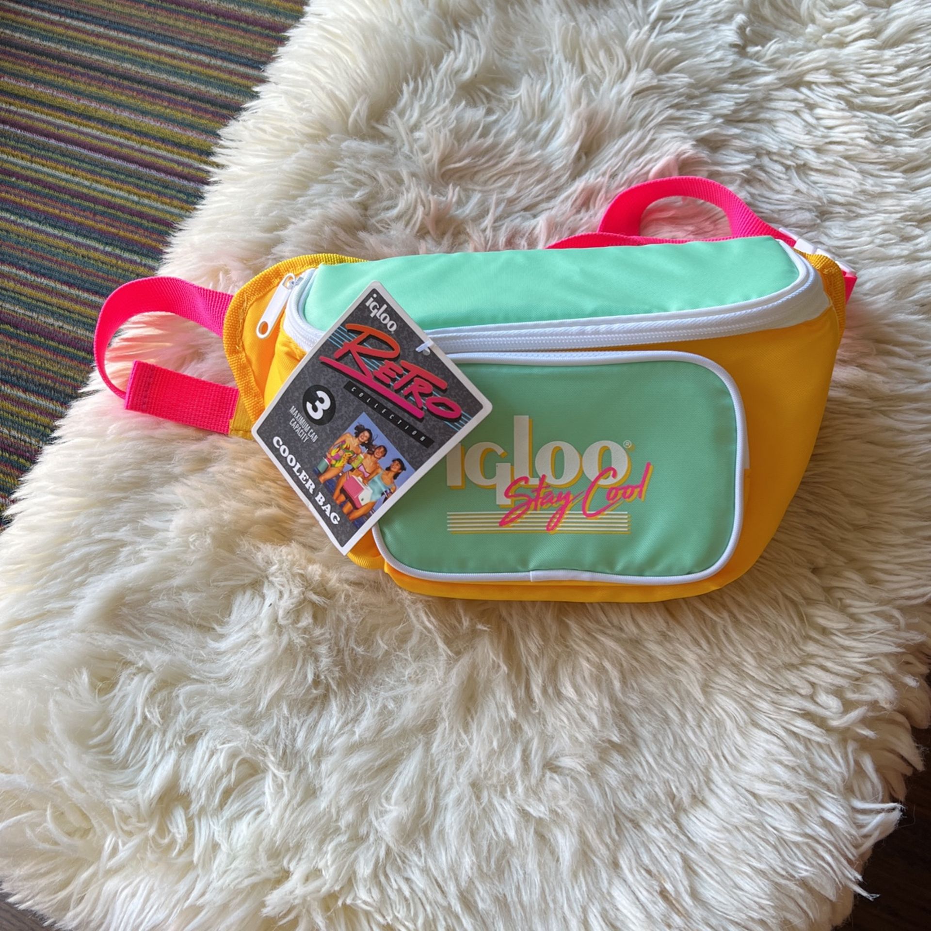 Igloo Cooler Bag