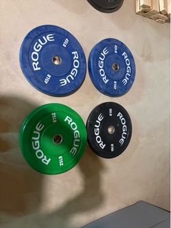 Rogue echo bumper plates