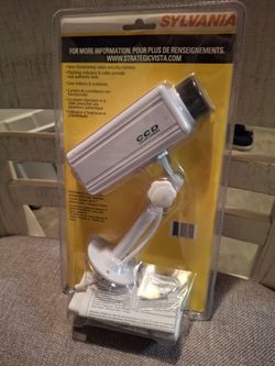 Simulated Surveillance Camera