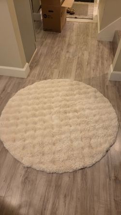 White circle rug