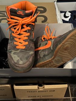 Nike SB Brian Anderson Sz 10