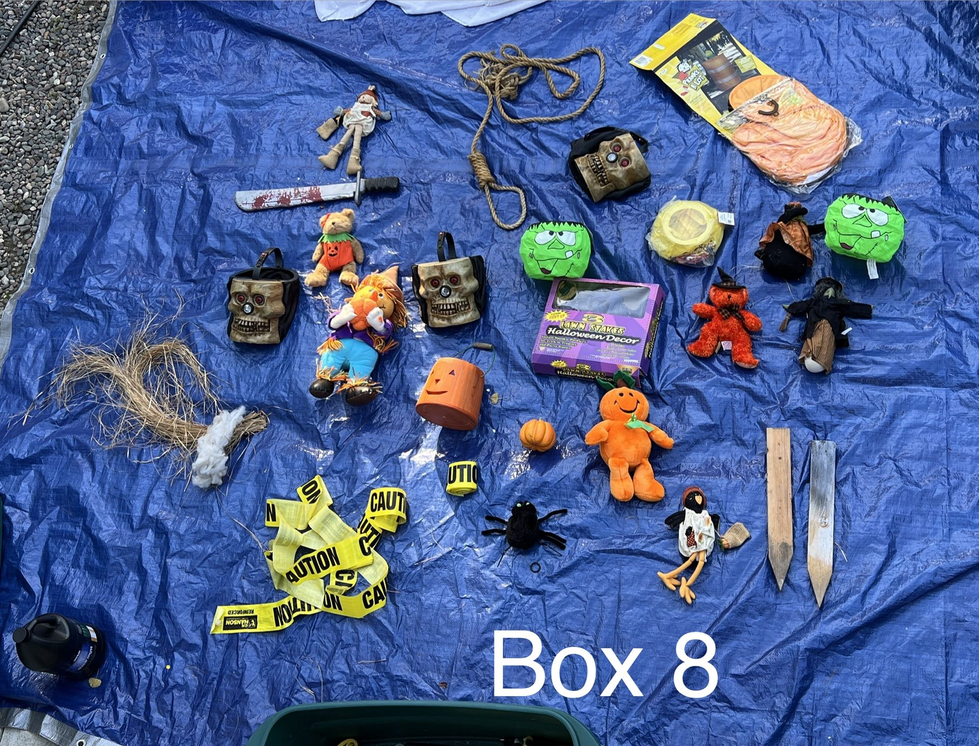 Halloween Decorations 