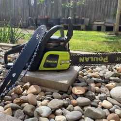 Poulan Portables Gas Saw