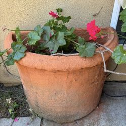 Clay Flower Pot