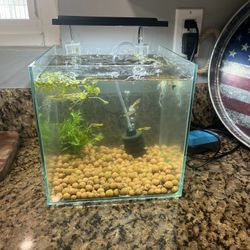  15.6 Gallon Cube Rimless Low Iron Aquarium