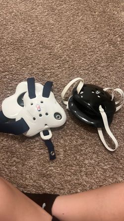 Wrestling head gear