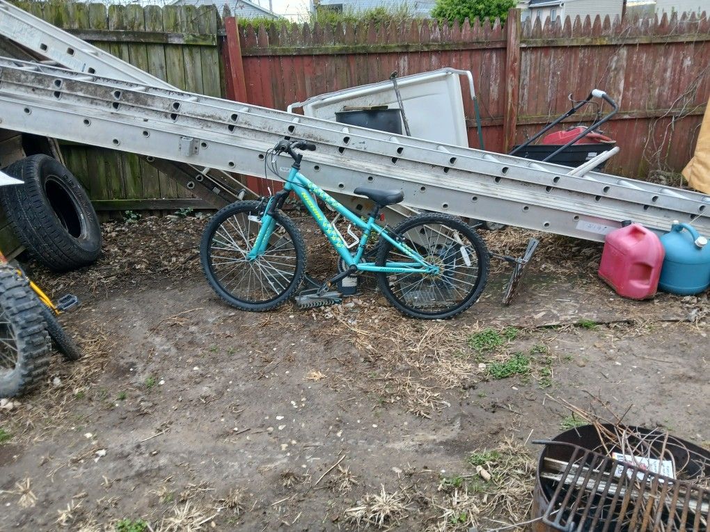 Women's 24 Inch Bike