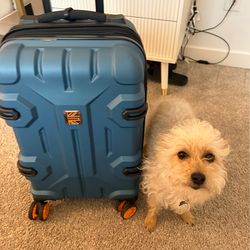 selling Brit bag suitcase