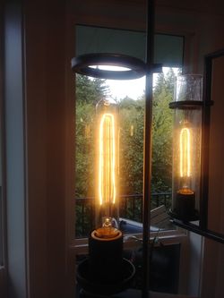 Satco S2422 60W 120V T9 E26 Medium base Vintage Incandescent light bulb