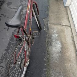 Adult Bicycle Rides Well