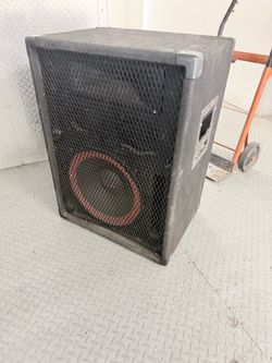 Large PA Speaker Cabinet