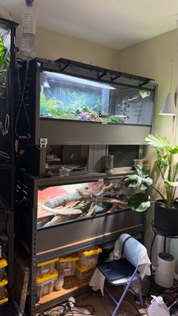 2 eco flex 4x2x2