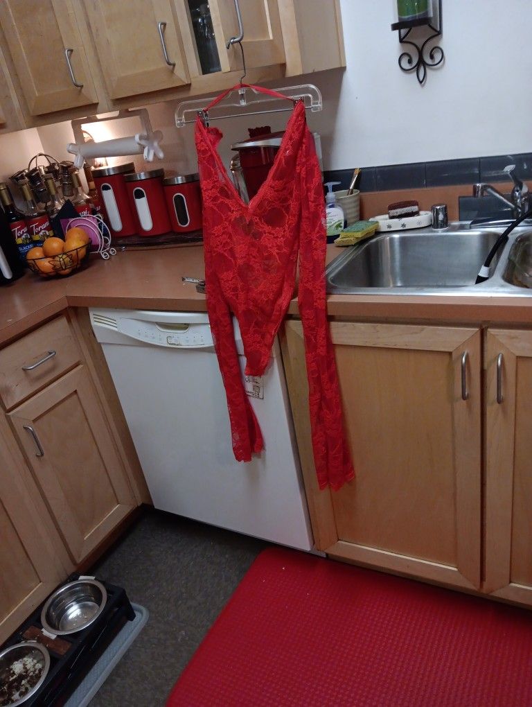 Sexy Red Teddy And Stockings